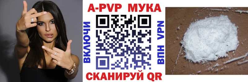 A PVP СК mega сайт Обь