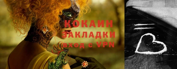шишки Белокуриха