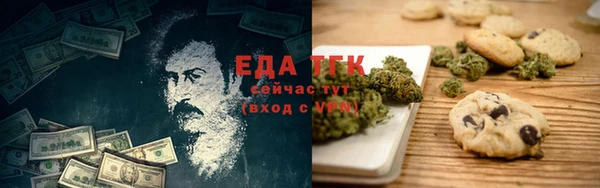 шишки Белокуриха