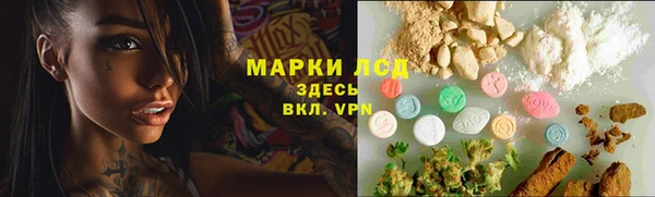 эйфоретик Беломорск