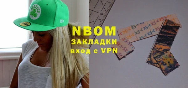 шишки Белокуриха