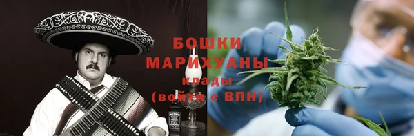 шишки Белокуриха