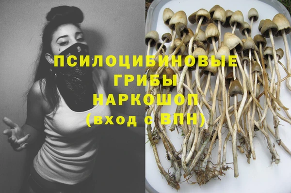 эйфоретик Беломорск