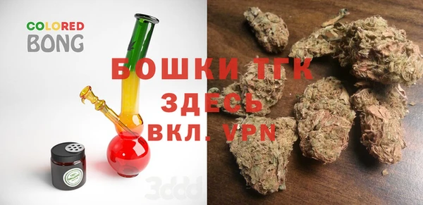 шишки Белокуриха