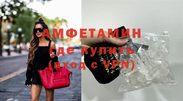 шишки Белокуриха