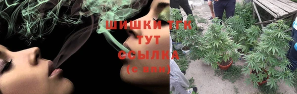 шишки Белокуриха