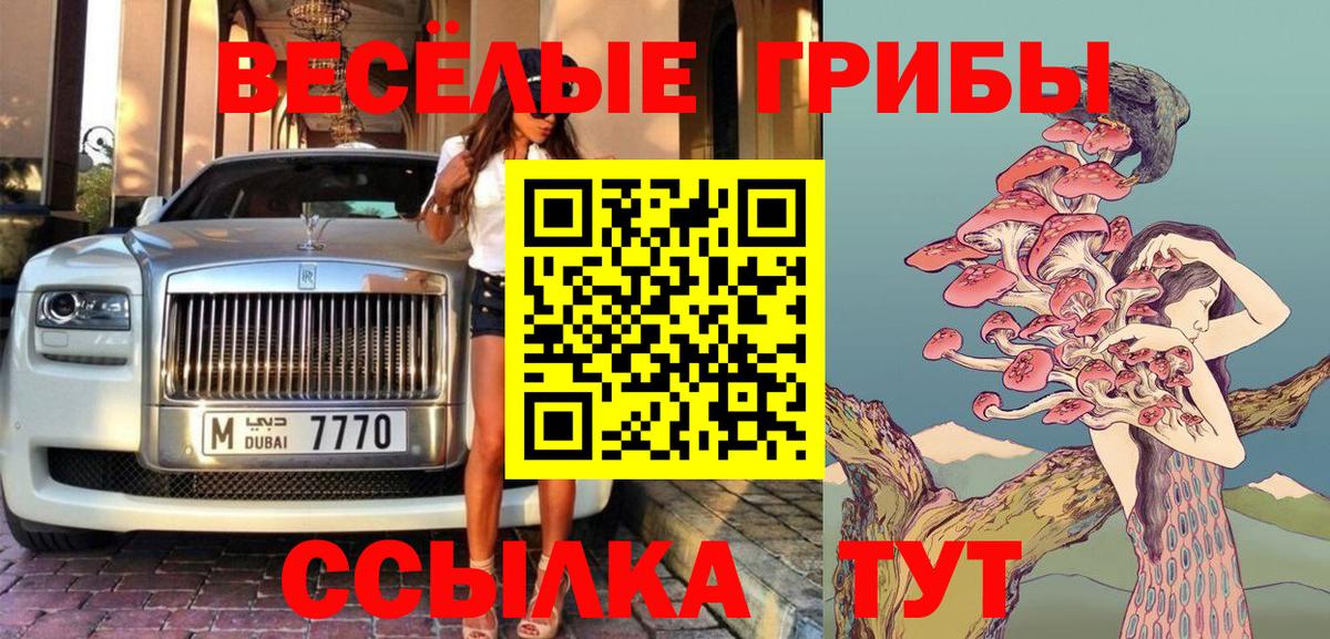 Псилоцибиновые грибы Psilocybe Обь