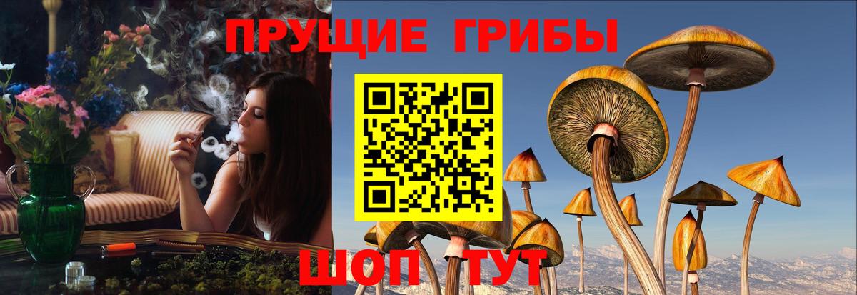 Обь  Псилоцибиновые грибы GOLDEN TEACHER  Вход с VPN 