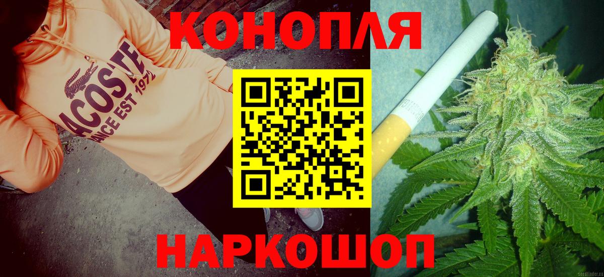 Канабис сатива Обь